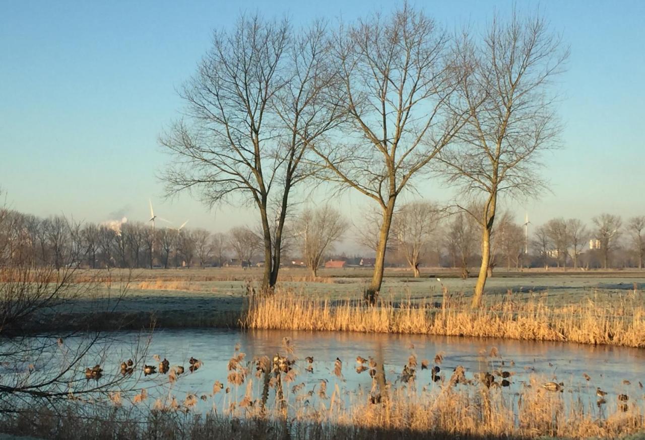 Logies De Meerkoet Brugge Eksteriør bilde