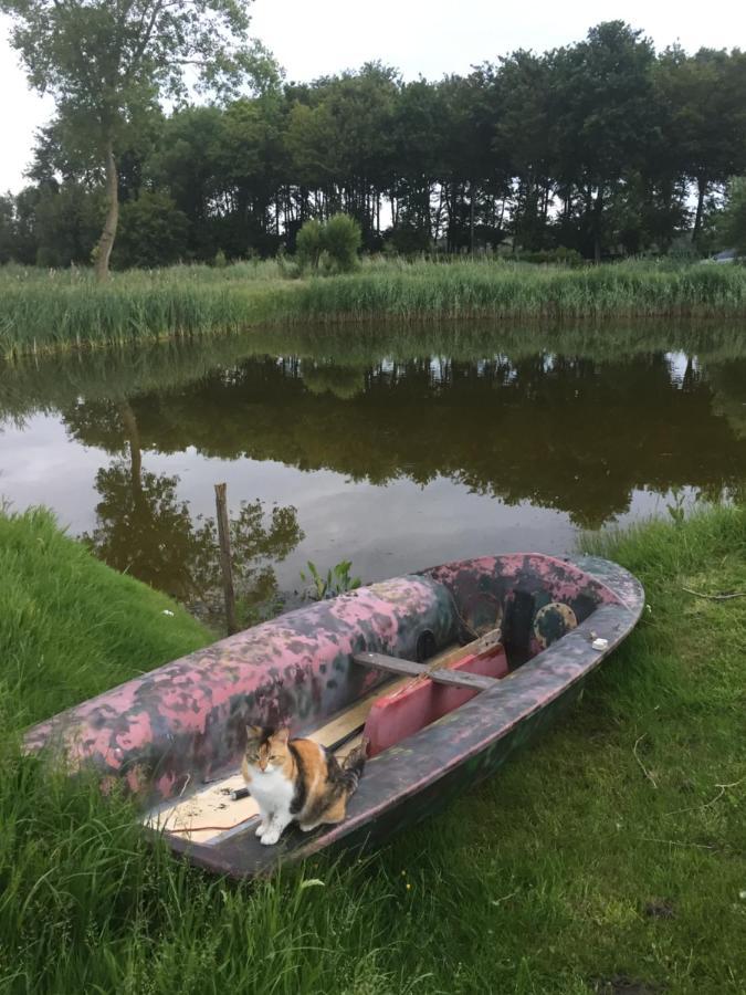 Logies De Meerkoet Brugge Eksteriør bilde