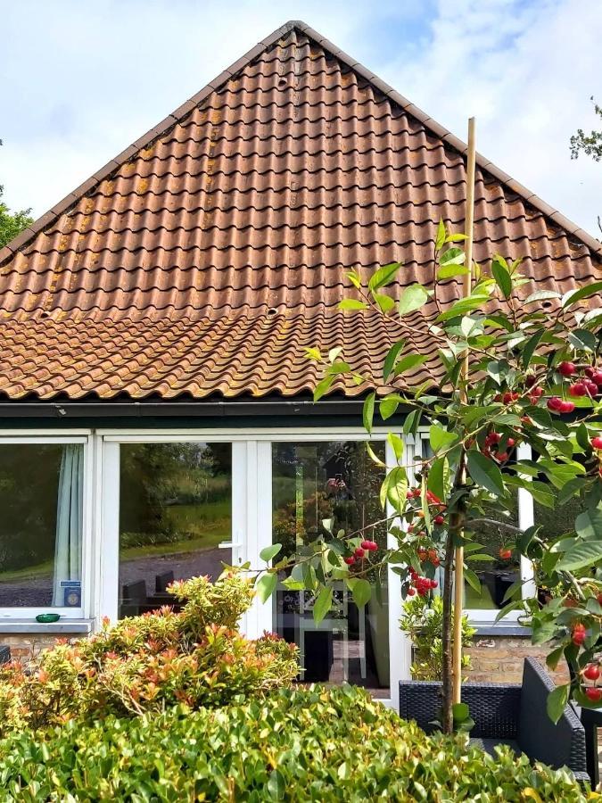 Logies De Meerkoet Brugge Eksteriør bilde